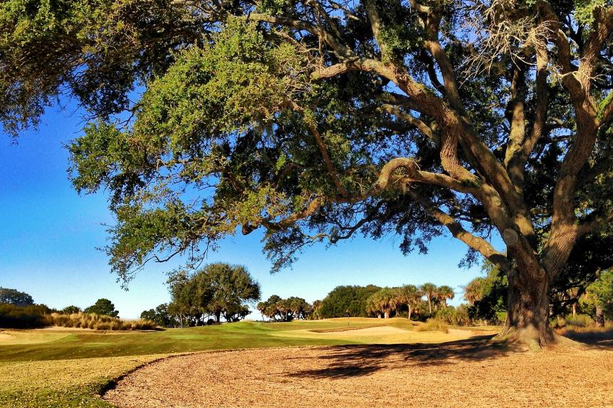 200. (193) Kiawah Island Club: River